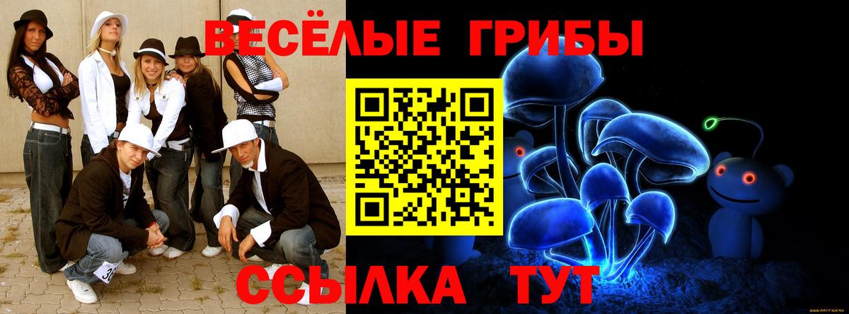 Псилоцибиновые грибы GOLDEN TEACHER  Вход с VPN  Куйбышев 